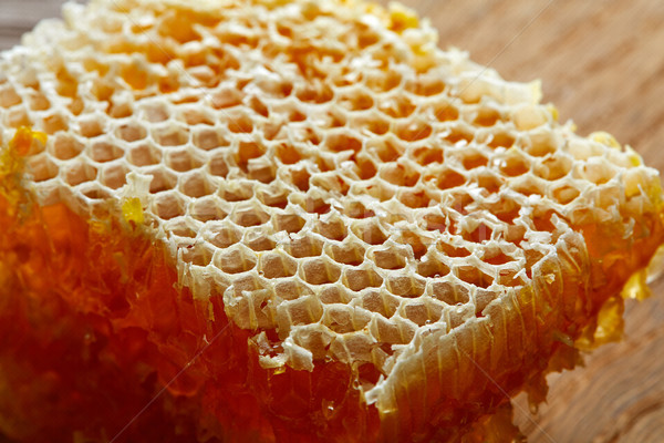 Honey honeycomb detail macro Stock photo © lunamarina