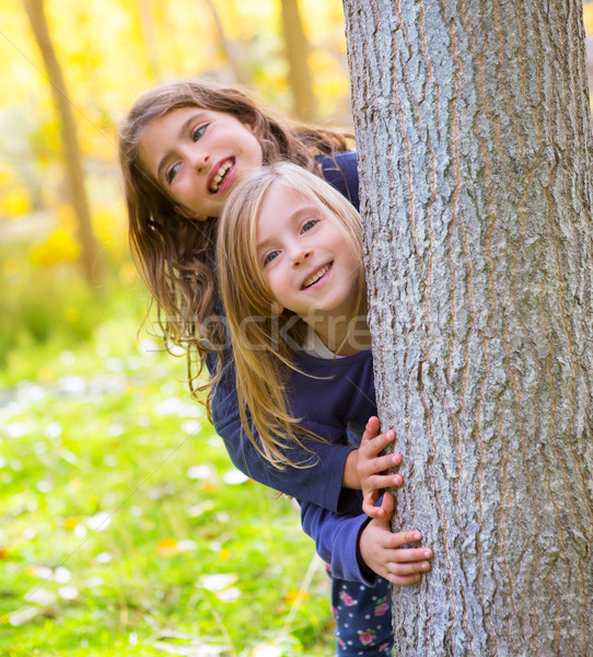 Autumn sister kid girls playing in forest trunk outdoor Stock photo © lunamarina