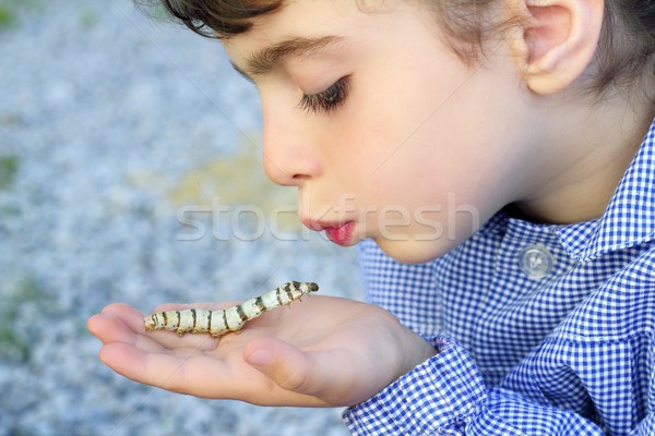 little girl palying with silkworm in hands Stock photo © lunamarina