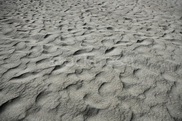 Strandsand Wellen Textur Muster Sonne Stock foto © lunamarina