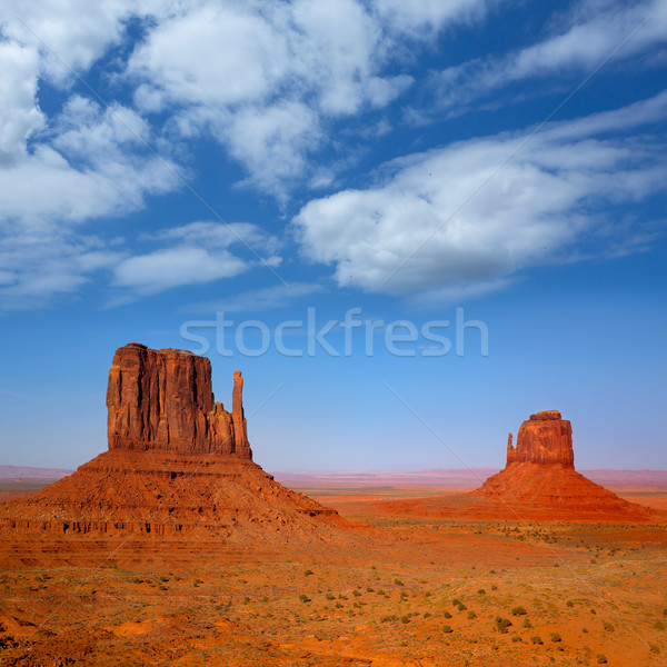 Monument Valley West and East Mittens Butte Utah Stock photo © lunamarina