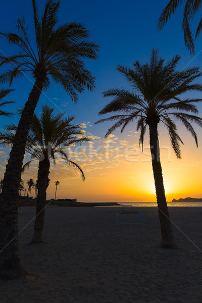 Plajă răsărit marea mediterana Spania apă copac Imagine de stoc © lunamarina