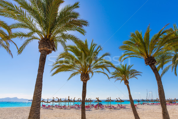 Platja de Alcudia beach in Mallorca Majorca Stock photo © lunamarina