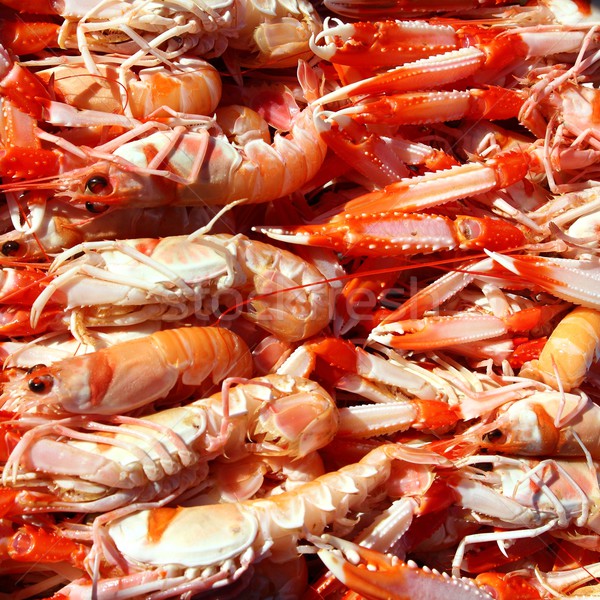 Crayfish Nephrops Norvegicus seafood market Stock photo © lunamarina