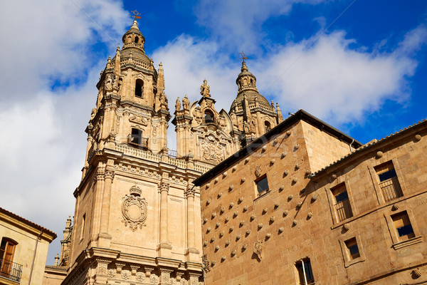 Salamanca Clerecia church and Casa Conchas Stock photo © lunamarina