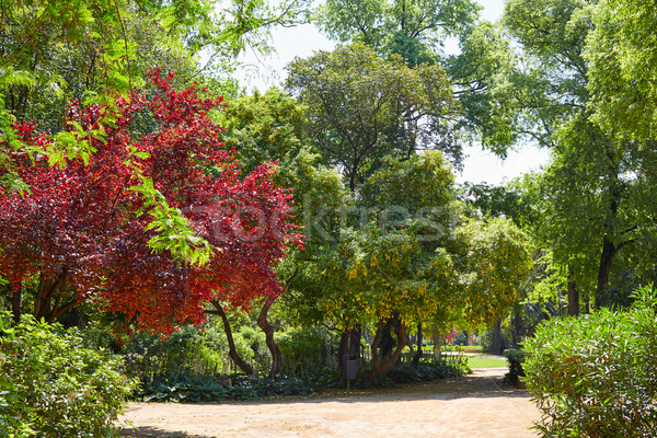 Parc jardins Espagne andalousie ville nature [[stock_photo]] © lunamarina