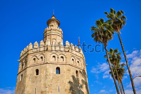 Turn Spania constructii oraş piatră arhitectură Imagine de stoc © lunamarina