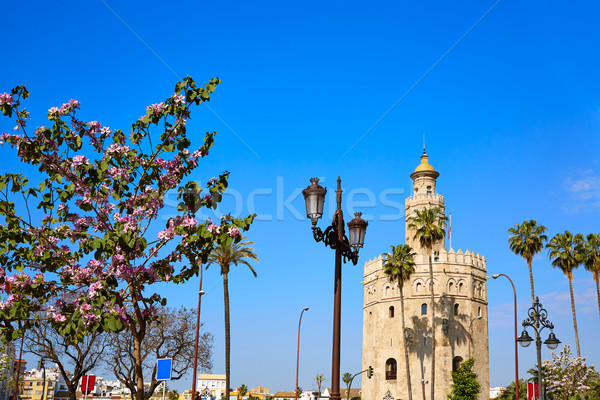 Seville Torre del Oro tower in Sevilla Spain Stock photo © lunamarina