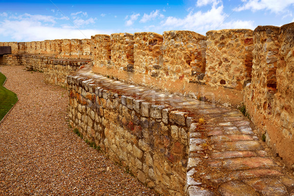 Zamora muralla fortress wall in Spain Stock photo © lunamarina