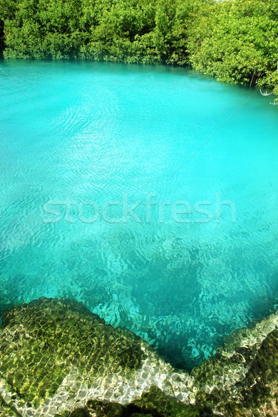 Turquoise eau paysage vert piscine bleu [[stock_photo]] © lunamarina