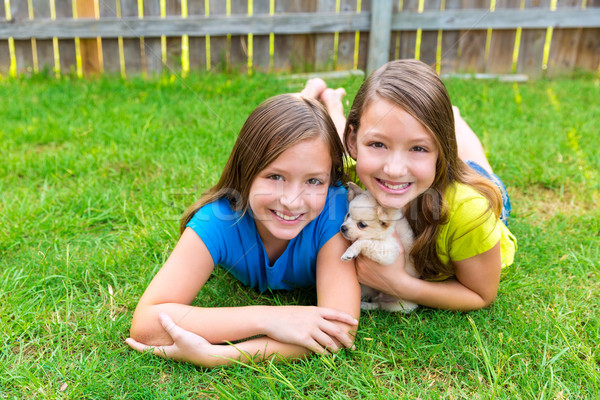 twin sister kid girls and puppy dog lying in lawn Stock photo © lunamarina