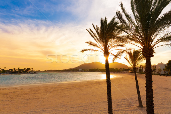 Alcudia Majorca at sunset on the beach Mallorca Stock photo © lunamarina