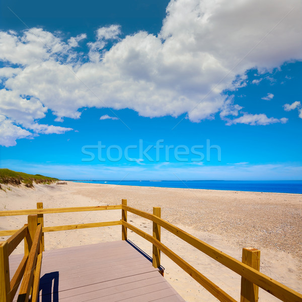 Cape Cod Sandy Neck Beach Massachusetts US Stock photo © lunamarina