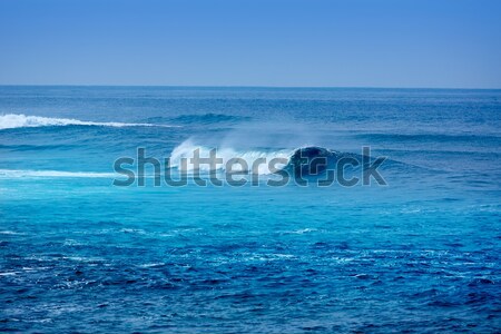 Jandia surf beach waves in Fuerteventura Stock photo © lunamarina