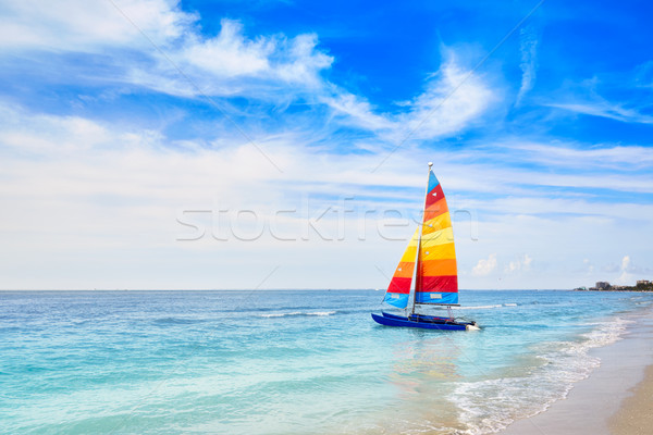 商業照片: 佛羅里達 · 堡壘 · 海灘 · 帆船 · 美國 · 雙體船