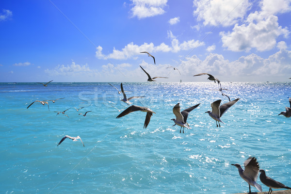 Key west florida beach Clearence S Higgs Stock photo © lunamarina