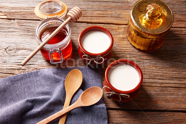 Curd dairy dessert with honey Stock photo © lunamarina
