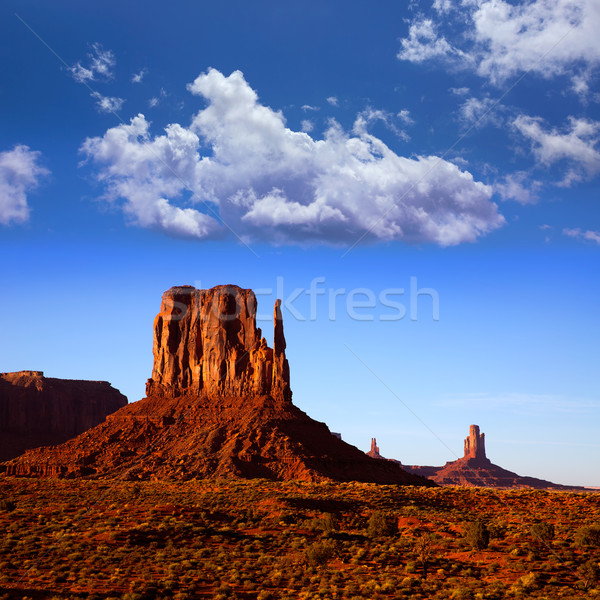 Monument Valley West Mitten Butte Utah Park Stock photo © lunamarina