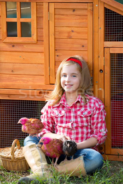 Kid fille agriculteur poussins poulet blond Photo stock © lunamarina