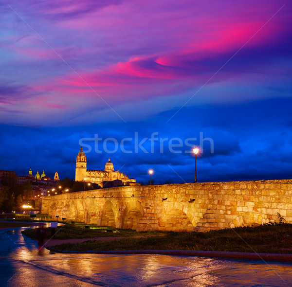 Salamanca sunset in roman bridge Tormes river Stock photo © lunamarina