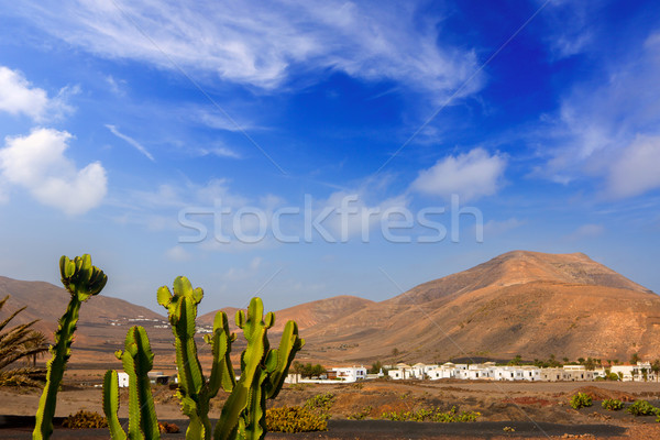 Lanzarote Yaiza with cactus and mountains Stock photo © lunamarina