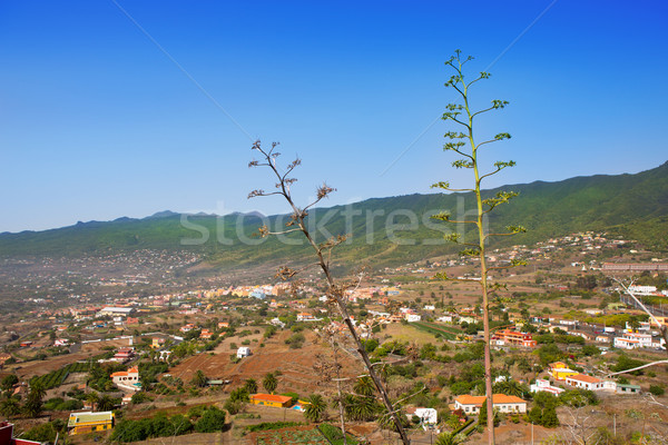 La Palma Caldera Tabueirnte mountain with agave Stock photo © lunamarina