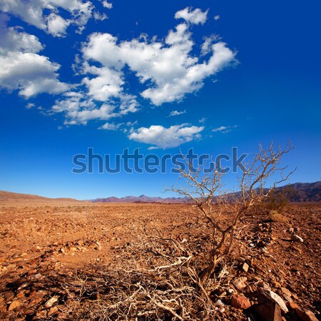 Death Valley National Park California Corkscrew Peak Stock photo © lunamarina