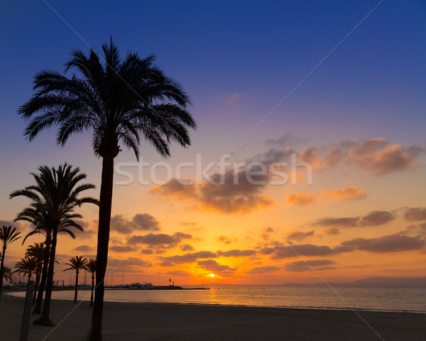 Praia pôr do sol mallorca Espanha sol Foto stock © lunamarina