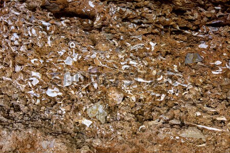 ossuary prehistoric  in Cueva Calaveras of Benidoleig Stock photo © lunamarina