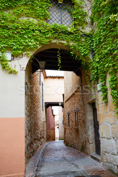 Zamora Calle Troncoso street arch Spain Stock photo © lunamarina