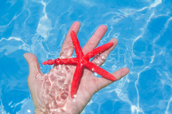 Red starfish in human hand floating Stock photo © lunamarina
