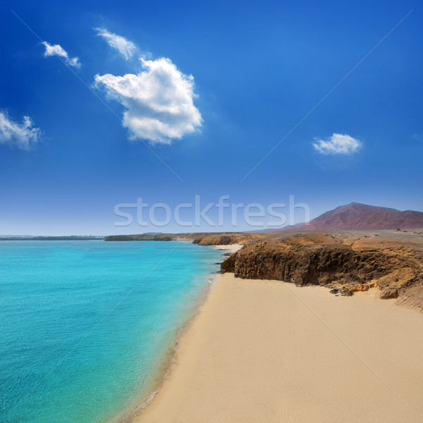 Lanzarote Playa del Pozo beach costa Papagayo Stock photo © lunamarina
