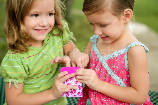 Foto stock: Dois · pequeno · gêmeo · irmãs · jogar · rosa