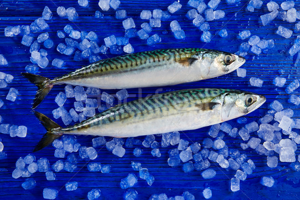 ストックフォト: サバ · 新鮮な · 魚 · 氷 · 青 · 木製