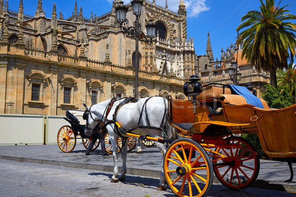 Stock photo: Seville horse carriages in Cathedral of Sevilla