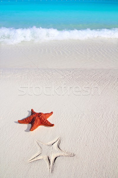 Karib tengeri csillag trópusi homok türkiz tengerpart Stock fotó © lunamarina