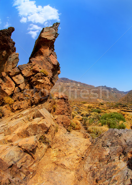 Kanári-szigetek Tenerife park hegyek égbolt természet Stock fotó © lunamarina