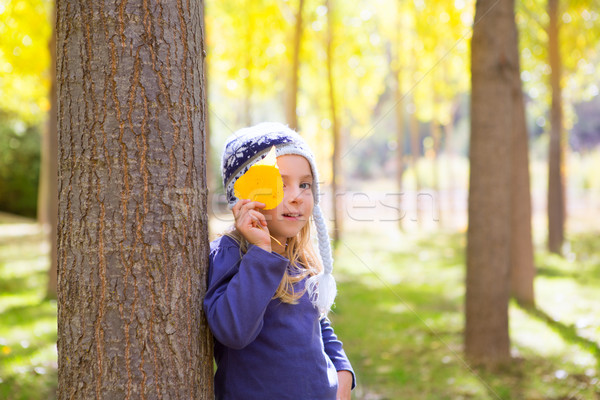 Child girl in autumn poplar forest yellow fall leaves in hand Stock photo © lunamarina