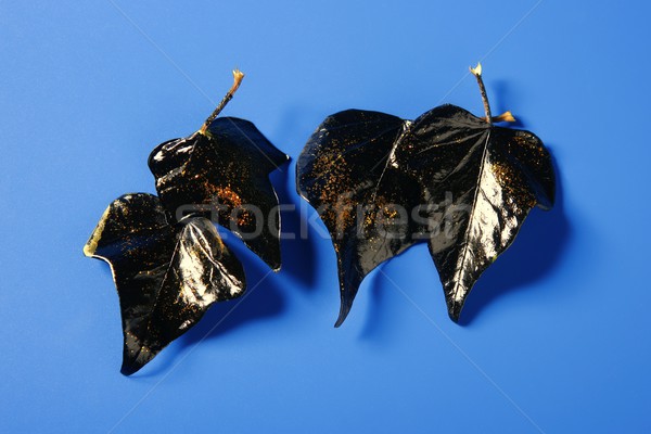 Black leaves with golden glitter macro Stock photo © lunamarina