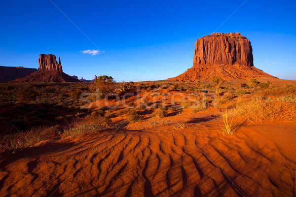 Monument Valley West Mitten and Merrick Butte desert sand dunes  Stock photo © lunamarina
