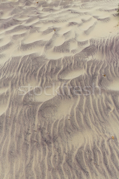 California Pfeiffer Beach in Big Sur State Park sand texture Stock photo © lunamarina
