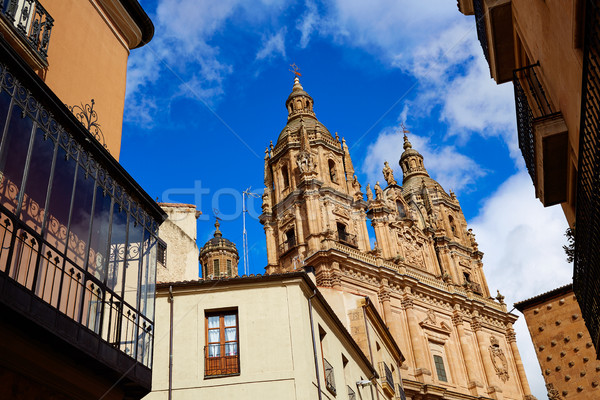 Salamanca Clerecia church and Casa Conchas Stock photo © lunamarina