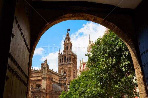 Stok fotoğraf: Katedral · kule · İspanya · kemer · kapı · Bina