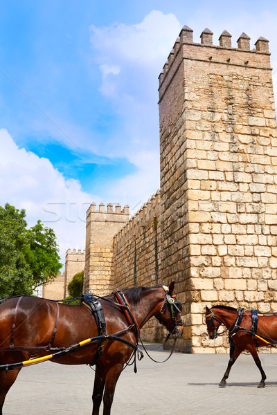 Zdjęcia stock: Real · twierdza · ściany · architektury · konie · wakacje