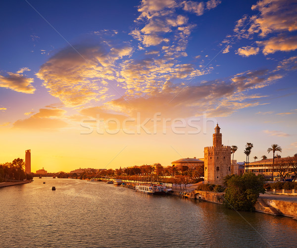 Seville sunset skyline torre del Oro in Sevilla Stock photo © lunamarina