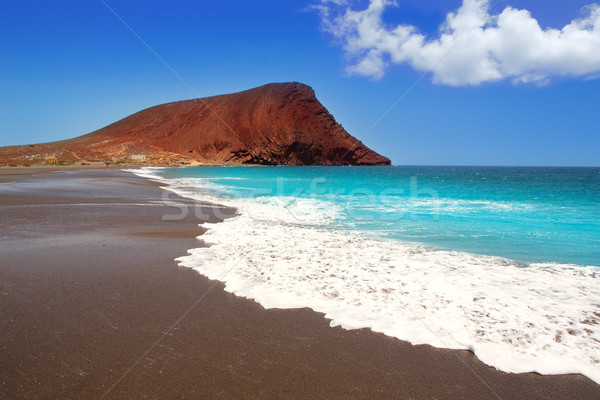 Beach Playa de la Tejita in Tenerife Stock photo © lunamarina