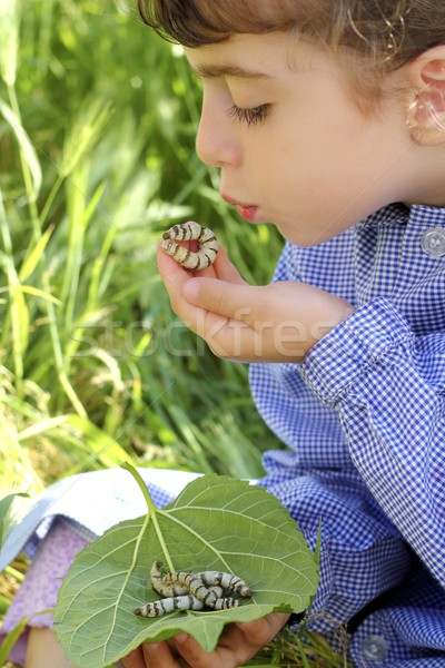 little girl palying with silkworm in hands Stock photo © lunamarina
