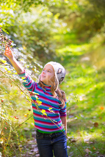 kid winter girl picking mulberry berries in the forest Stock photo © lunamarina