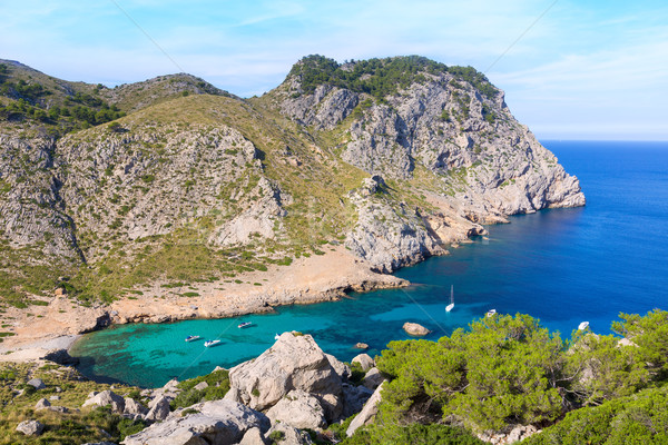 Majorca Cala Figuera beach of Formentor Mallorca Stock photo © lunamarina