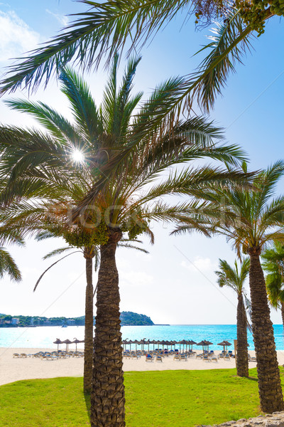 Mallorca praia Espanha água Foto stock © lunamarina